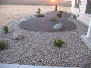 WolfFinishedApril09.jpg