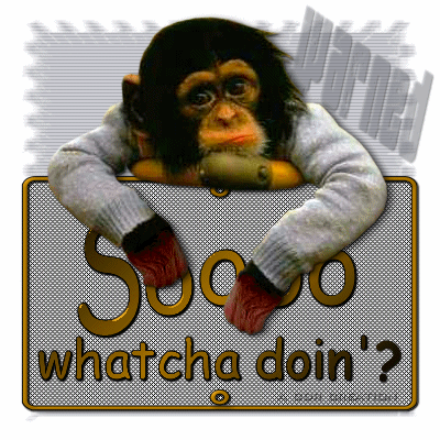 Sowhatyoudoing.gif