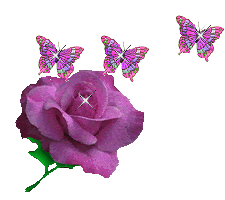 butterfly5.gif